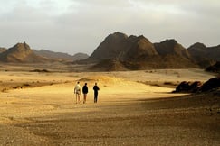 Skeleton Coast Safaris