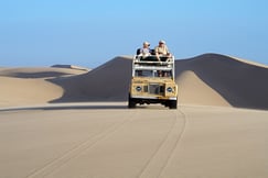 Skeleton Coast Safaris