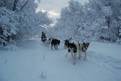 Snowhotel Kirkenes