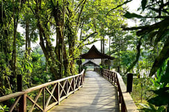 Sukau Rainforest Lodge