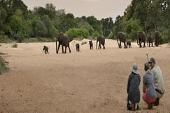 Tanda Tula