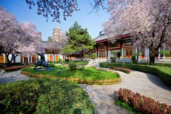 Tang Dynasty Art Garden Hotel