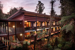 Te Waonui Forest Retreat