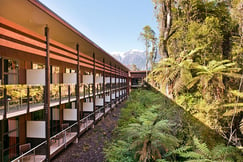 Te Waonui Forest Retreat