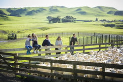 The Farm at Cape Kidnappers