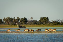 Tubu Tree Camp