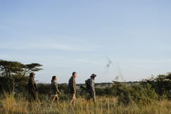 Walking safari through the Serengeti at Usawa Serengeti