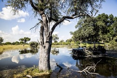 Vumbura Plains Camp