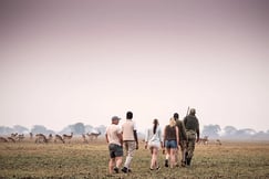 Guided walking safari at Chisa Busanga