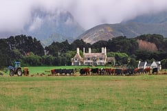 Wharekauhau Country Estate