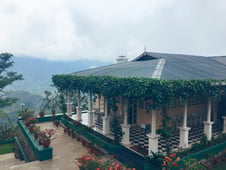 Glenburn Tea Estate