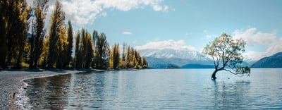 View of a lake in New Zealand with mountains in the distance