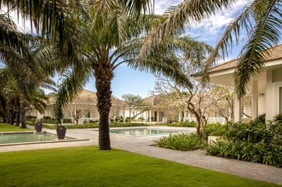 Palm trees surrounding swimming pool