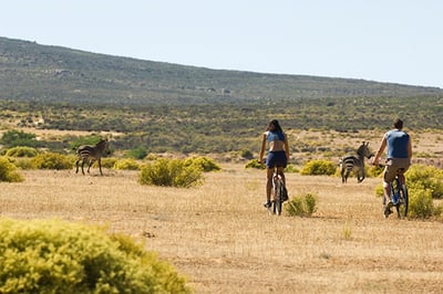 Bushmans Kloof Wilderness Reserve & Wellness Retreat