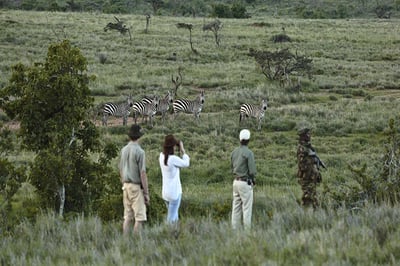 Borana Lodge