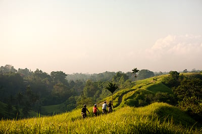 COMO Uma Ubud