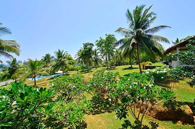 The garden area of Blue Heights Villa, Sri Lanka