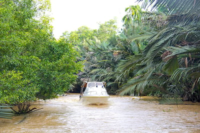 Kinabatangan Wetlands Resort