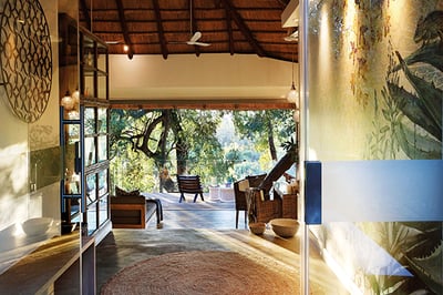 Londolozi Tree Camp