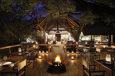 Londolozi Tree Camp