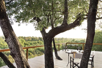 Londolozi Tree Camp