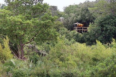 Londolozi Tree Camp