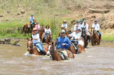 Offbeat Riding Safaris