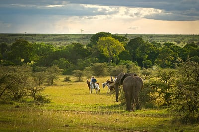 Offbeat Riding Safaris