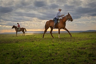 Offbeat Riding Safaris