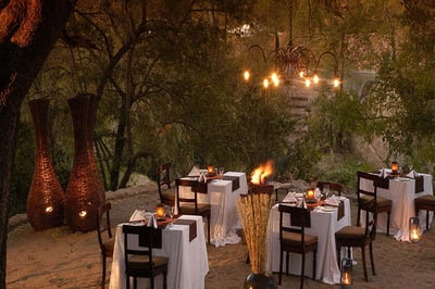 Sabi Sabi Little Bush Camp