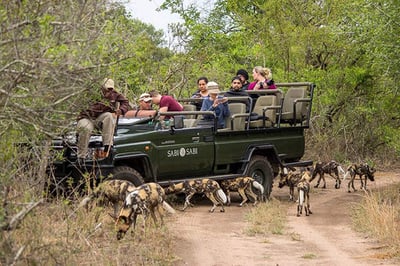 Sabi Sabi Little Bush Camp