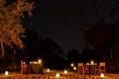 Sabi Sabi Little Bush Camp