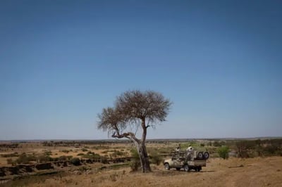 View across Serengeti Plains in Tanzania