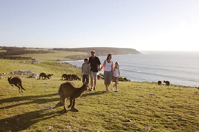 Southern Ocean Lodge