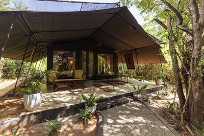 The exterior of Suite Tent at Leopard Trails Wilpattu