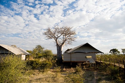 Toka Leya Camp