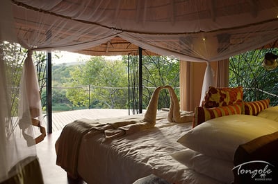 Tongole Wilderness Lodge