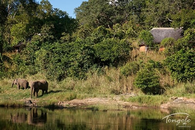 Tongole Wilderness Lodge