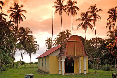 Tortuga Lodge & Gardens