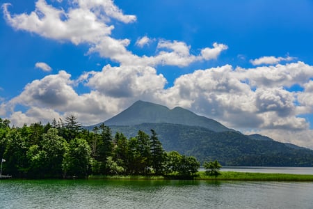 7 Colorful flower field in sunny day, Biei, Hokkaido