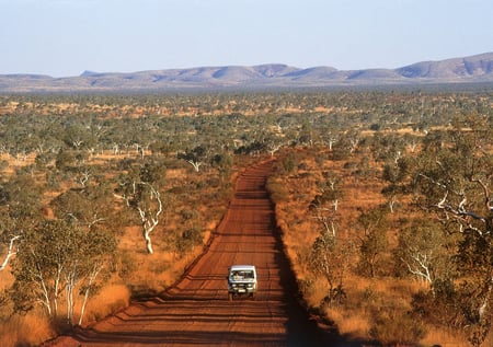 6 A female Red Kangaroo with her joey on the red sand of outback central Australia, Northern Territory