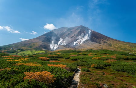 11 Colorful flower field in sunny day, Biei, Hokkaido