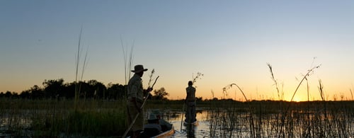  ? Canoeing down the Okavango Delta 