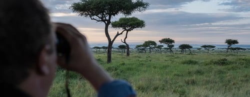 Looking out across the Kenyan Masai Conservancies