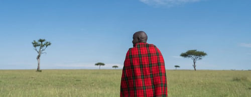  ? A Masai Guide in Kenya with back to the camera, blue skies and grasslands 
