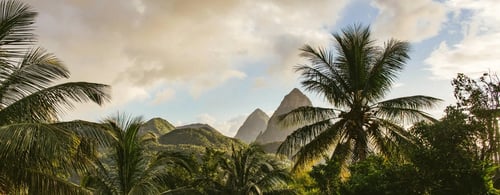 Lush mountain view in the Caribbean