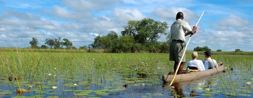 Botswana_Okavango Delta