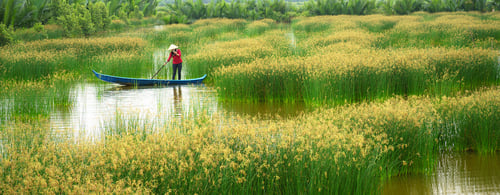 Mekong delta landscape with Vietnamese woman rowing boat on Nang