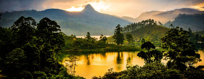 Panorama of the tea plantations at sunset - Sri Pada peak in the background