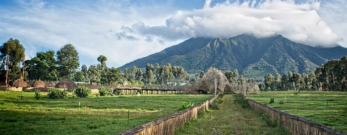 Volcanoes National Park, Rwanda